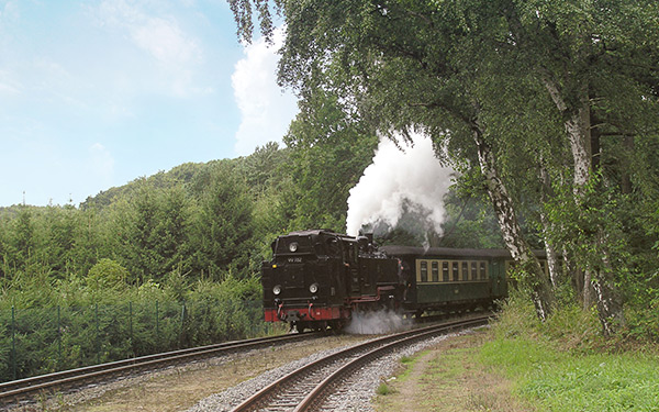 Der rasende Roland